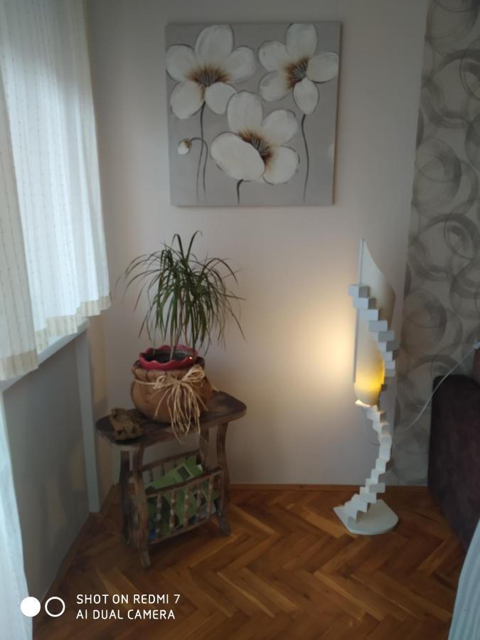 Apartman Ivan Vrdnik Zewnętrze zdjęcie