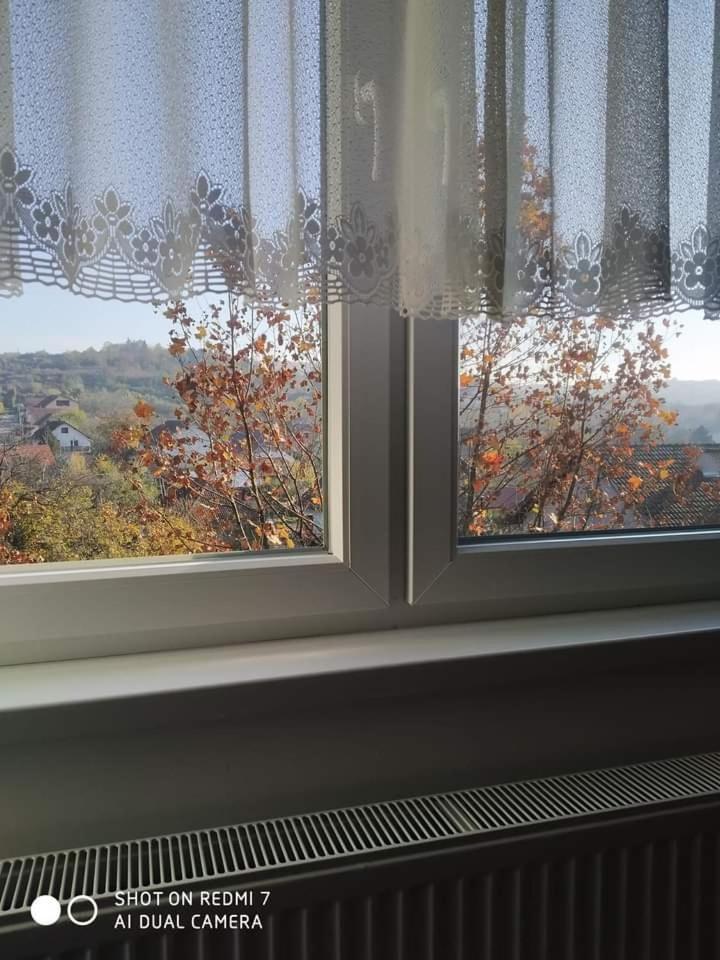 Apartman Ivan Vrdnik Zewnętrze zdjęcie