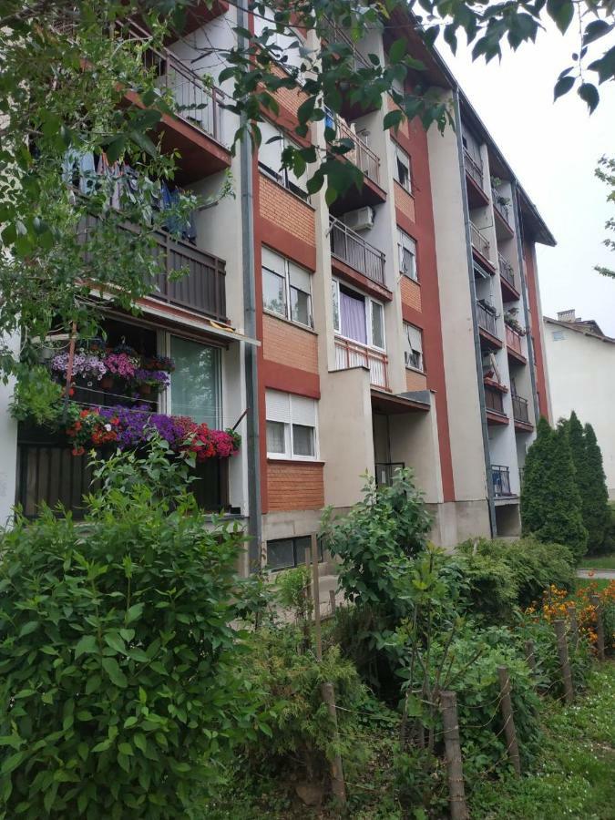 Apartman Ivan Vrdnik Zewnętrze zdjęcie