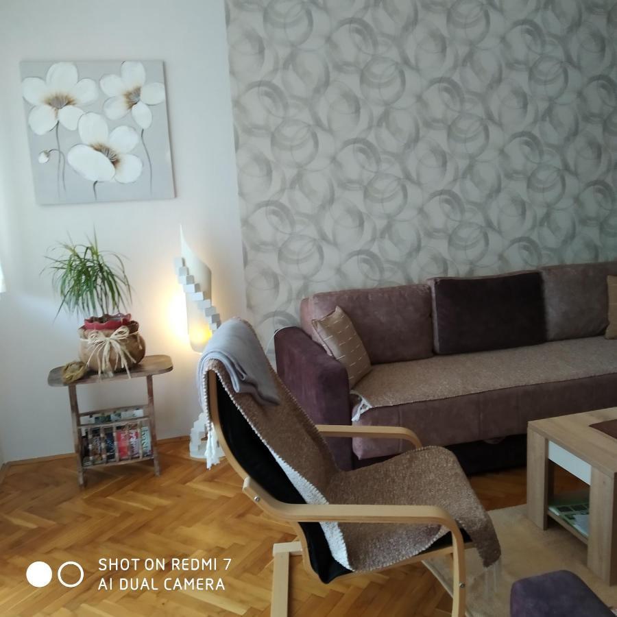 Apartman Ivan Vrdnik Zewnętrze zdjęcie